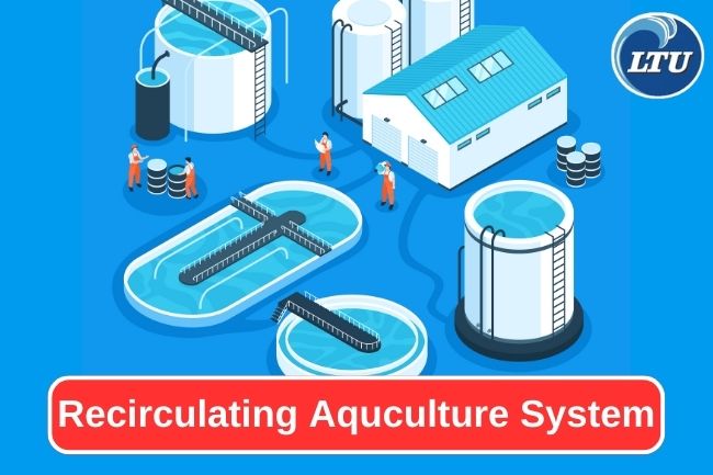 Recirculating Aquaculture Systems: A Sustainable Fish Farming Systems